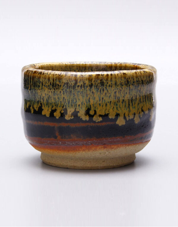 Ichikyu Golden Eye Glaze Ceramic Sake Cup